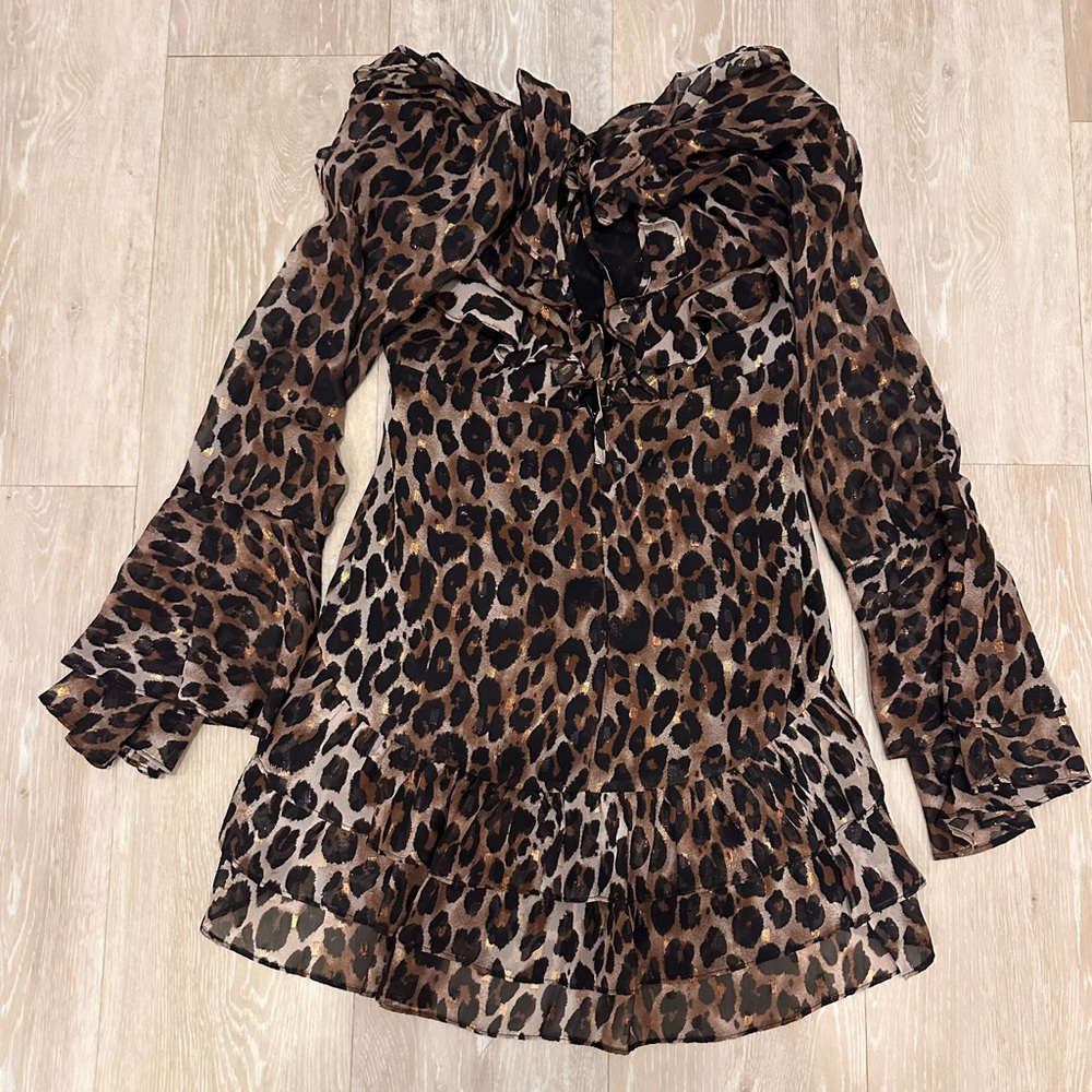 Are you ready for that wild night dress.